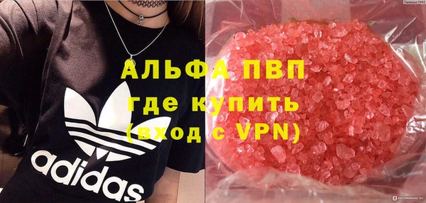стаф Киренск