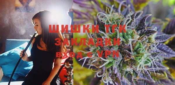 стаф Киренск