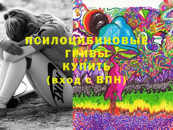 стаф Киренск