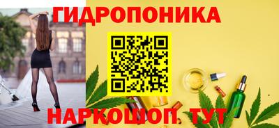 прущие грибы Прохладный