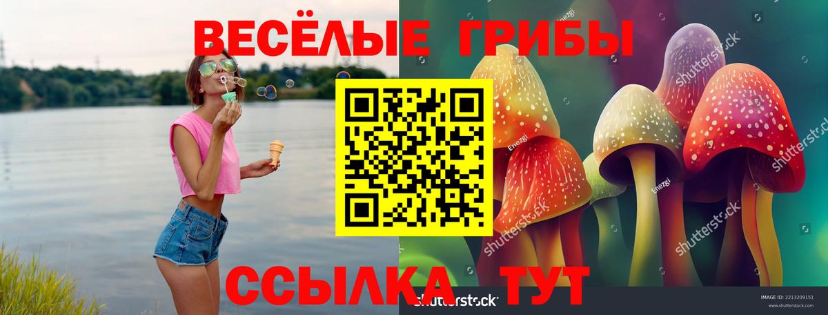 Галлюциногенные грибы ЛСД  Псилоцибиновые грибы Magic Shrooms  Вход с VPN  Лесной 